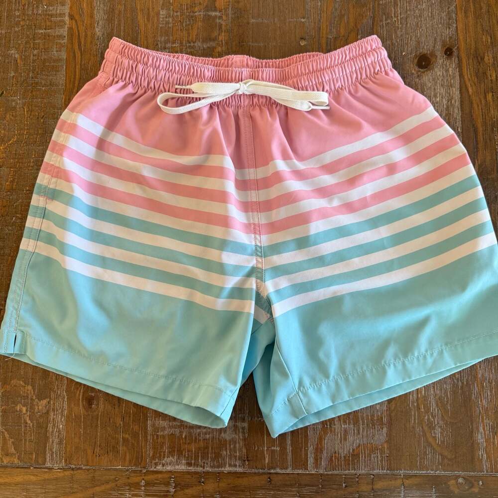 Chubbies Shorts Mens small Pink Blue Lined Classic Swim Trunk Pool Beach 5.5"